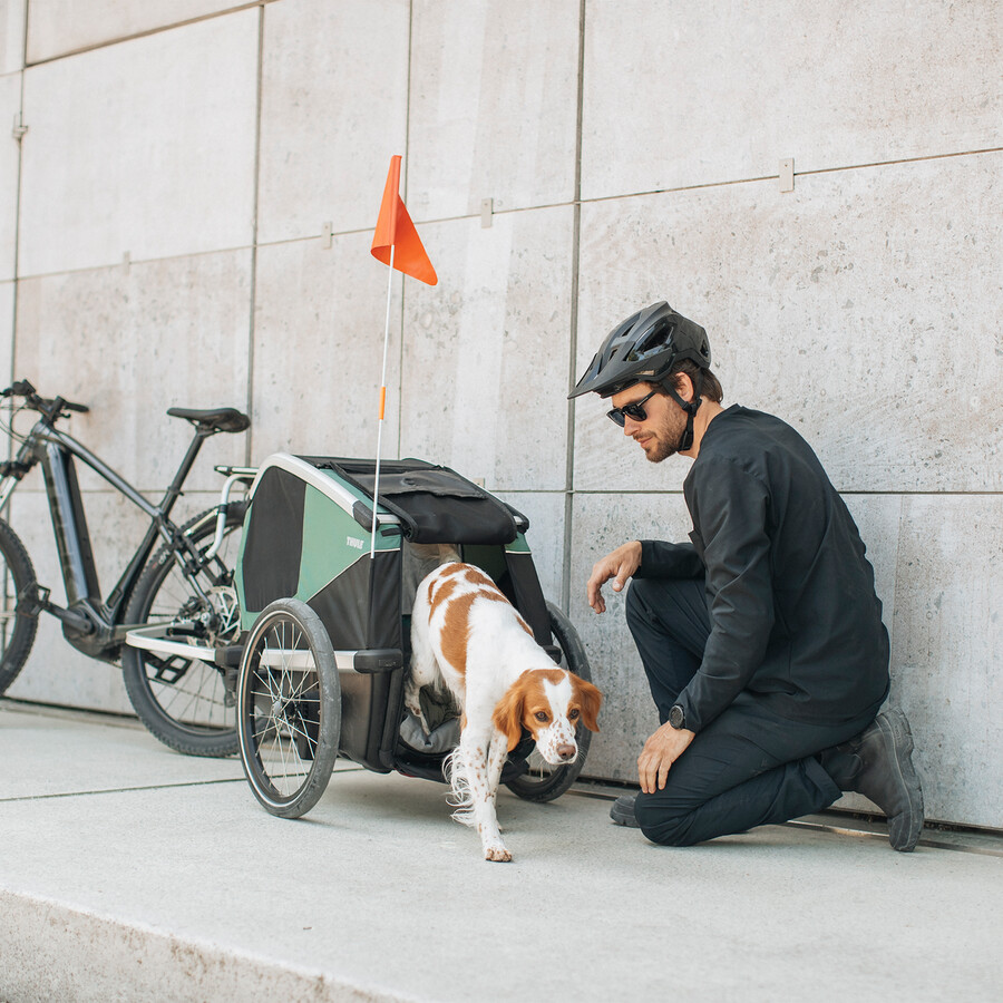 thule bexey l hundcykelkärra hazy green