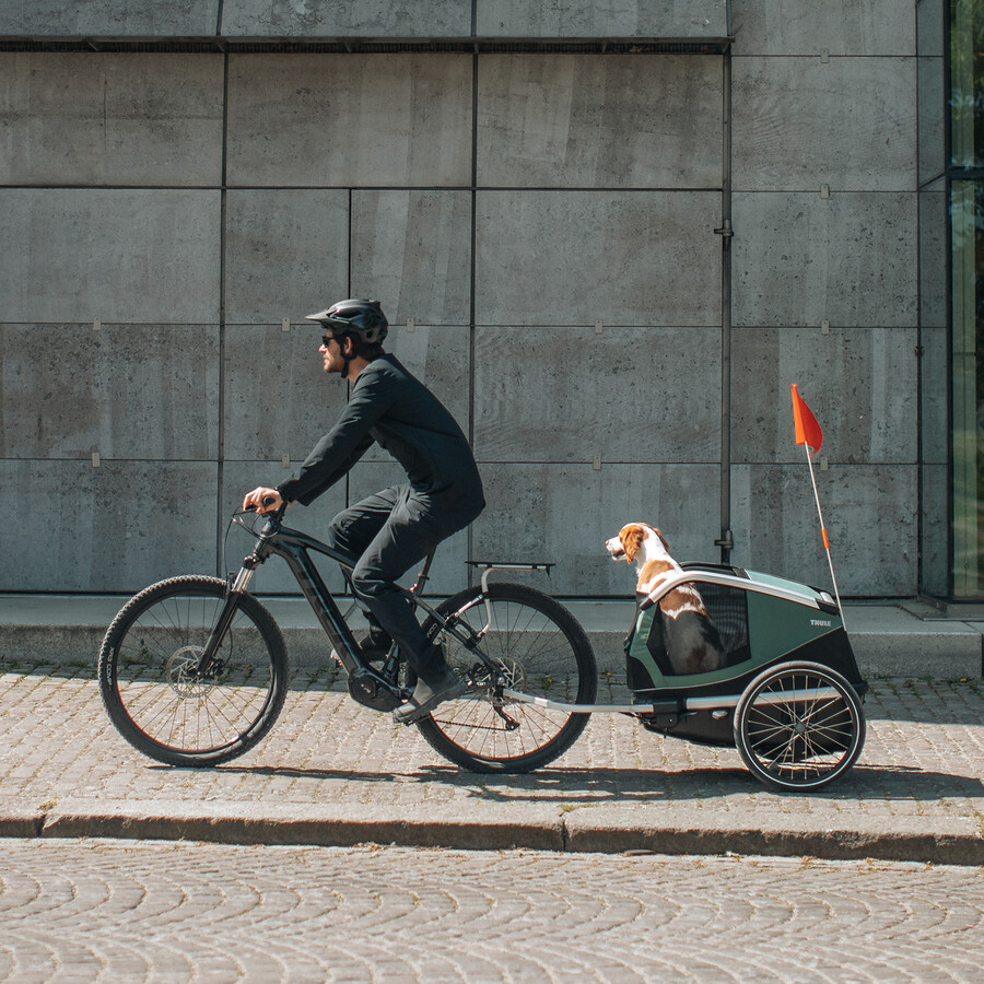thule bexey l hundcykelkärra hazy green