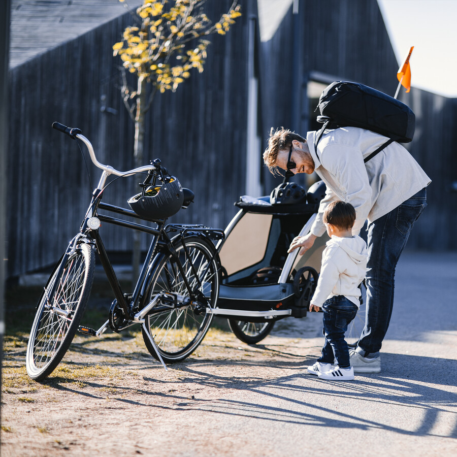 barn hund cykelkärra