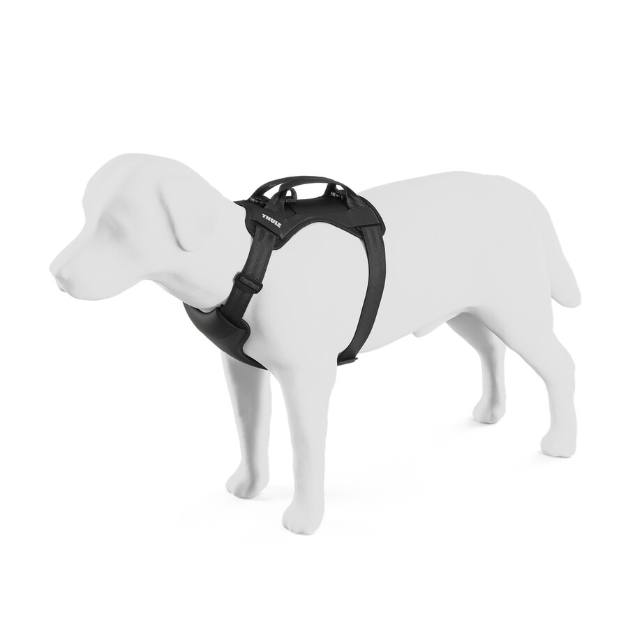 hundbilsele s